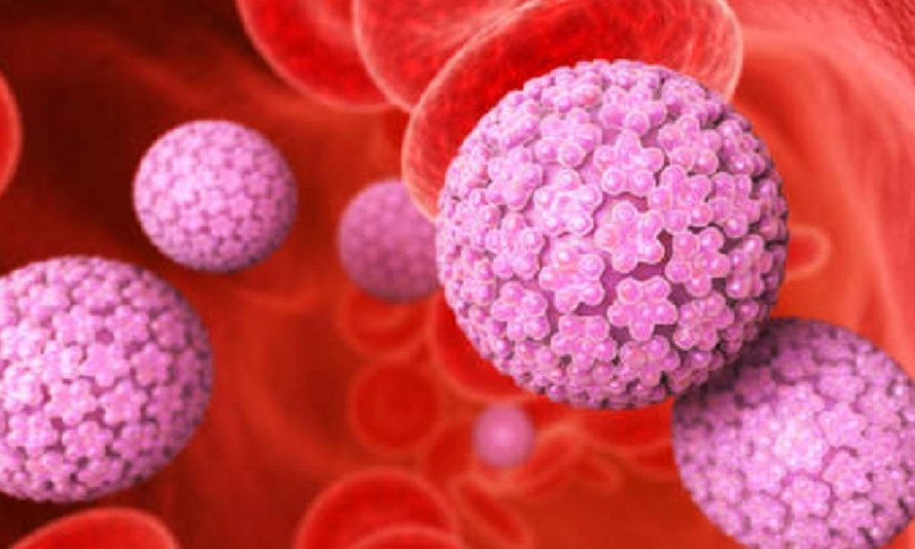 inmunohistoquímica vph