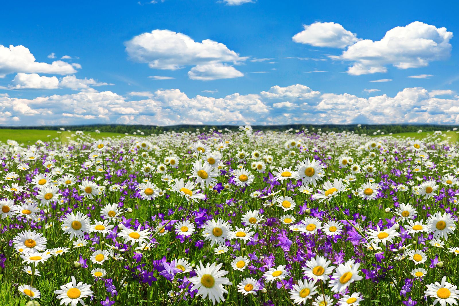 efectos de la primavera