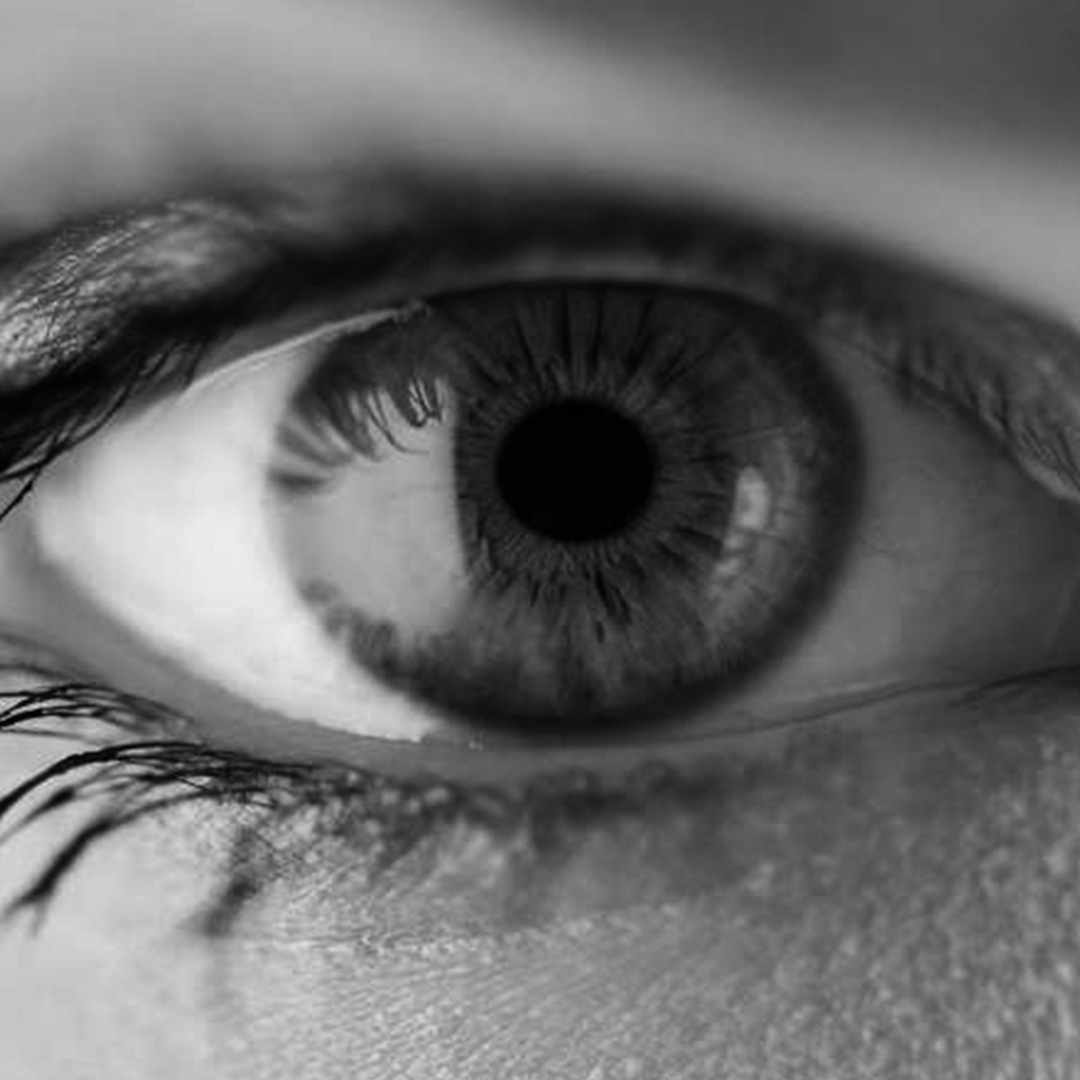 Jornada de Actualización en Plástica Ocular