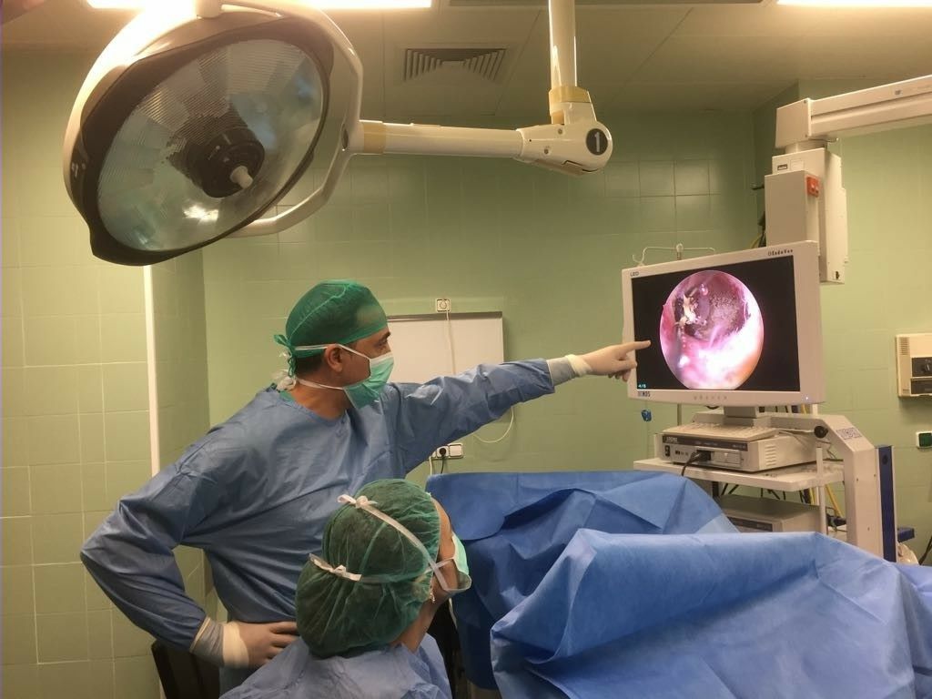 1er curso teórico/práctico de Histeroscopía diagnóstica y terapéutica