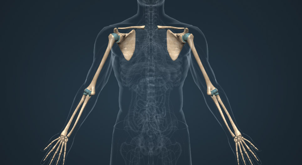 Curso Trauma de Miembros Superiores