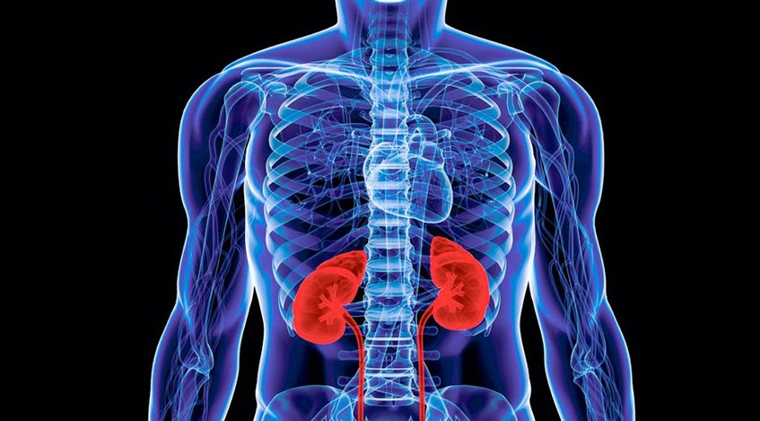 Campaña “Cuidá tu salud, protegé tus riñones”