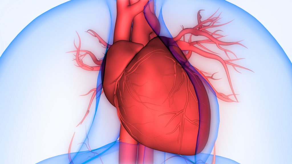 causas insuficiencia cardíaca